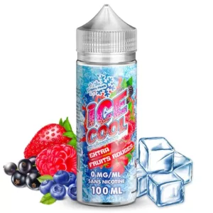 EXTRA FRUITS ROUGES 100ML - ICE COOL : Contenance - 100ML